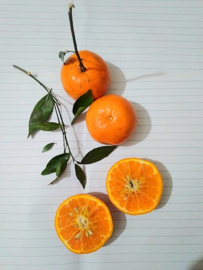 略带橙色的心情