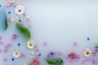 精致的花和叶在乳白色的背景。