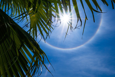 太阳晕与云在天空