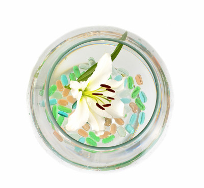 白色背景上的玻璃杯中盛开着美丽的大朵百合花。