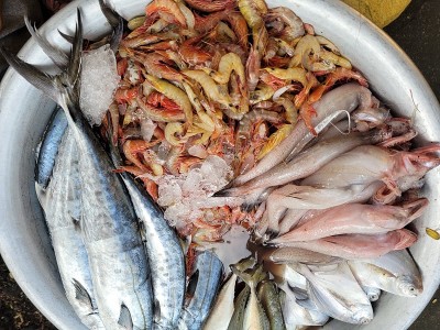 以鲜鱼、海鲜为背景的食物