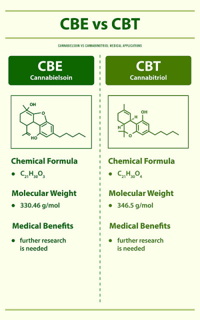 CBE vs CBT, Cannabisoin vs Cannabitriol垂直信息图