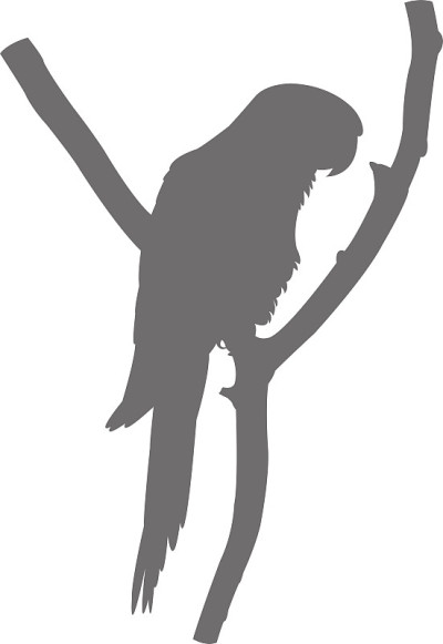 鹦鹉轮廓