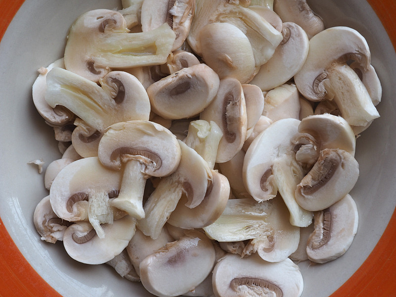 蘑菇蘑菇食物
