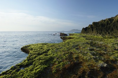 海浪溅向覆盖着绿色苔藓的尖锐岩石