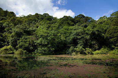 宜兰，浮山植物园
