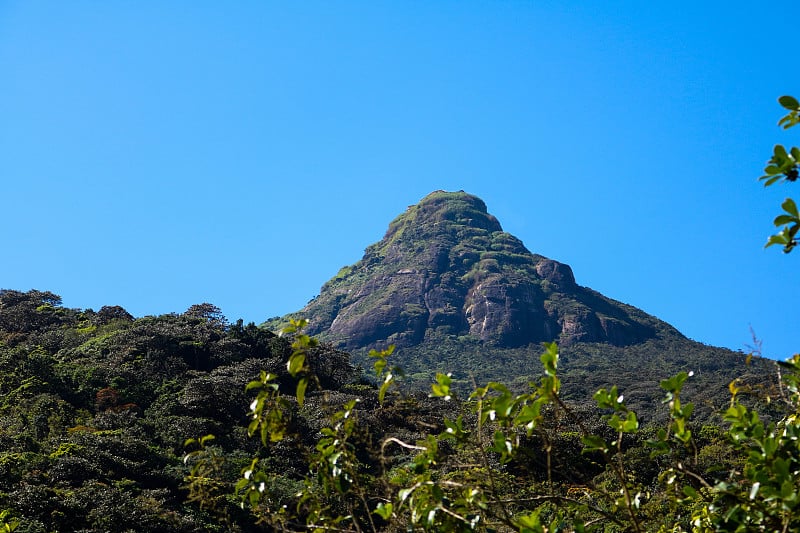 亚当斯高峰