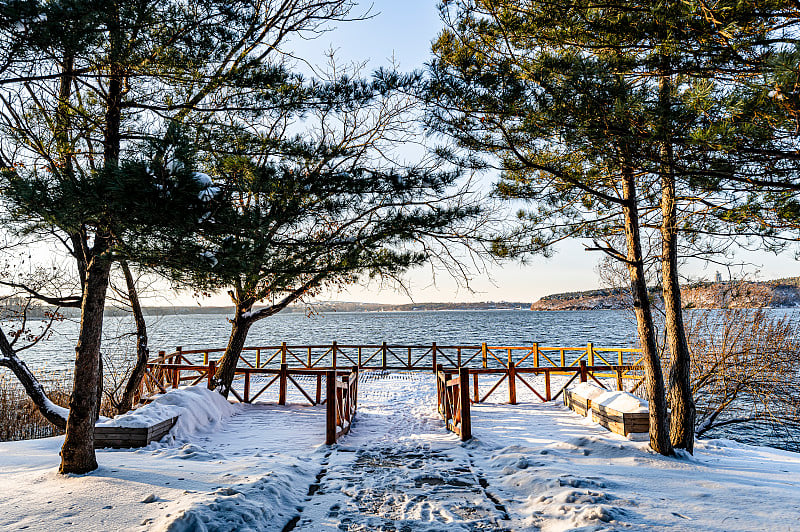 雪后中国长春净月潭国家森林公园的森林景观