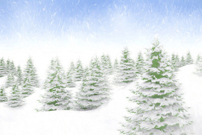 雪覆盖了平静的冬季风景
