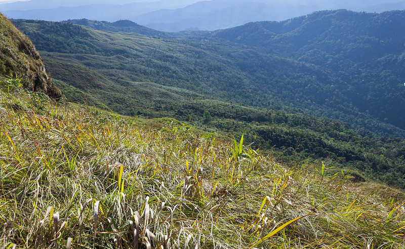 草地在Phu Lanka山国家公园Phayao泰国旅游Zoom