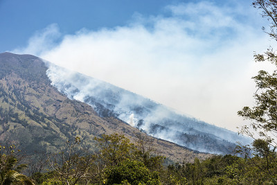 阿贡火山起火了