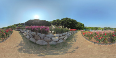 全球面360度全景视图，森林和公园360图像，VR AR内容