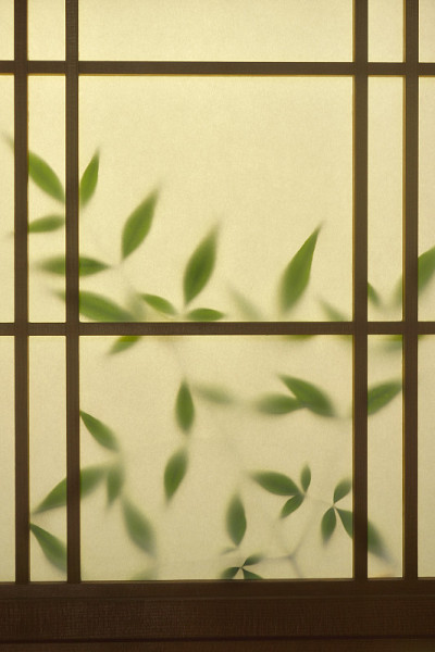 日本Shoji门与绿叶