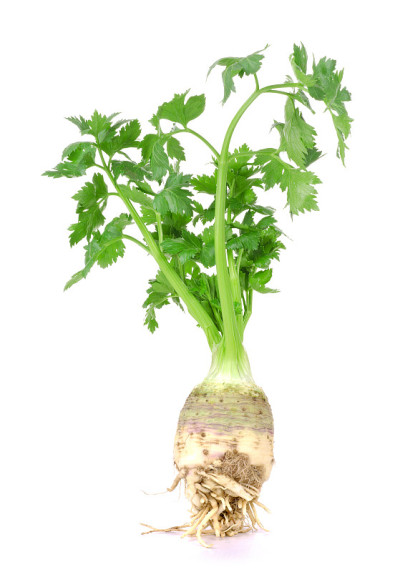 新鲜的芹菜
