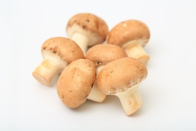 棕色蘑菇