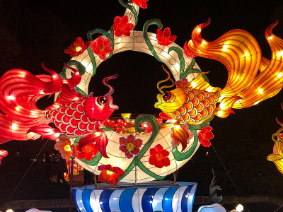 灯光展示用两条中国鱼
