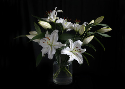 白百合花束