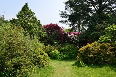 英国乡村花园