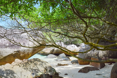 马来西亚Tioman岛的自然。海洋海岸