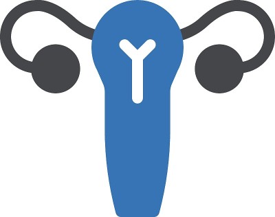 子宫