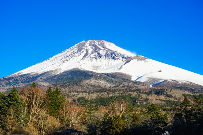 在水津冢公园，我欣赏着富士山在冬季渐近的景色。