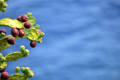海Mediterraneo