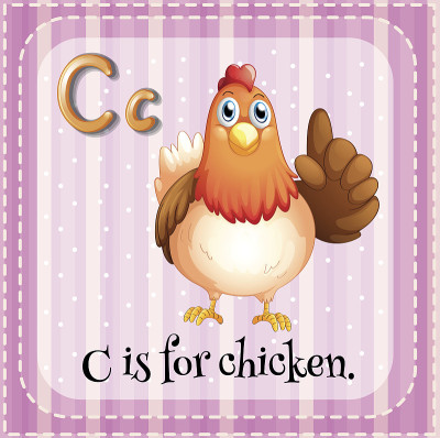 字母C鸡