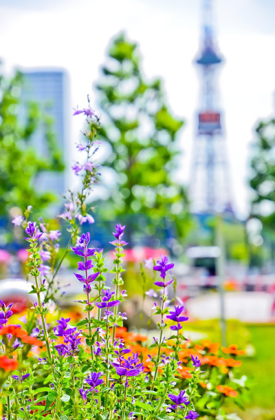 日本北海道札幌的荻里公园