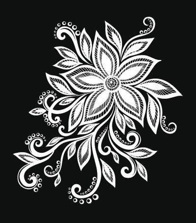 美丽的黑白花和叶孤立。