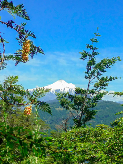 智利普孔市的维拉里卡湖和与之同名的火山