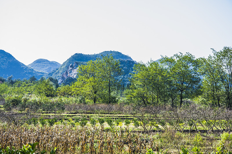 群山和乡村景色