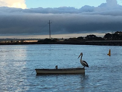 Queenscliff