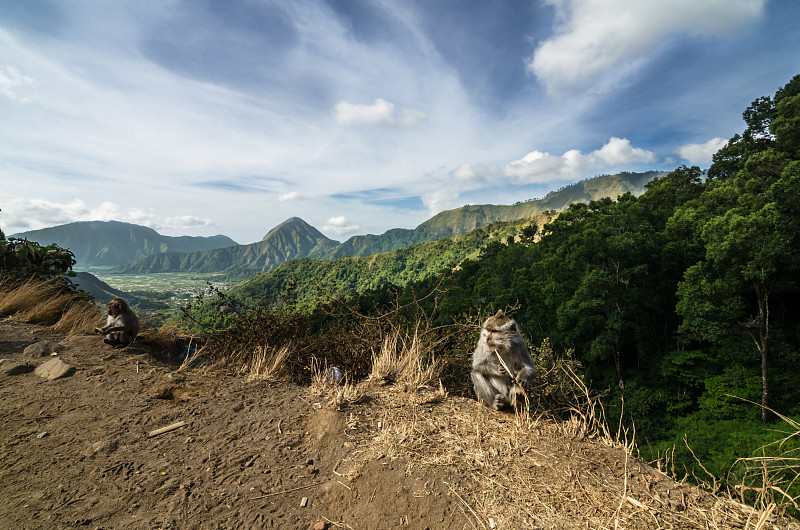 前往龙目岛林贾尼山的道路。