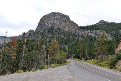 查尔斯顿山的一条山路。