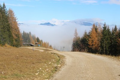 秋天的山间小道上，有一层雾笼罩着山谷。奥地利。