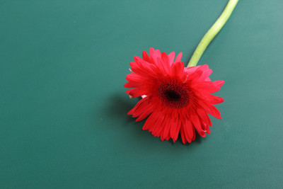 彩色铅笔板，教师节