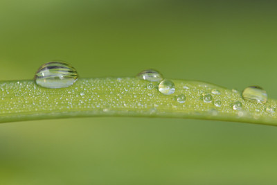 雨滴