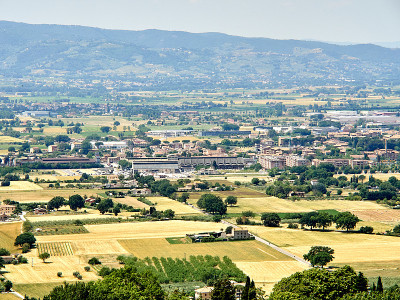 Asisi