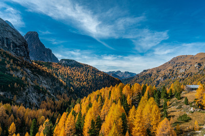色彩斑斓的阿维西奥山谷秋景，西望Fedaia人工湖