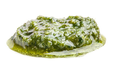 孤立的香蒜酱