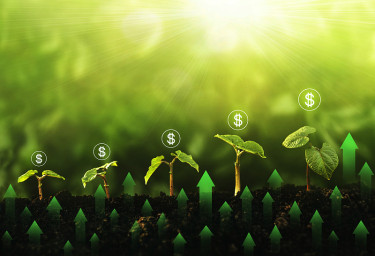 苗木生长步骤花园美元图标和绿色箭头图。绿色环保理念，企业成长、盈利、发展、成功。