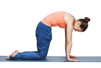 美丽的运动健康的瑜伽女性练习瑜伽体式marjariasana