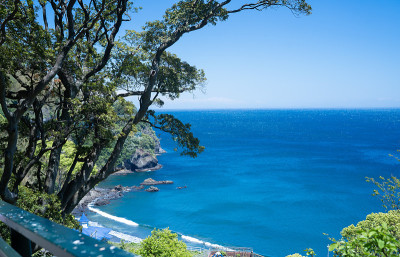 热海市的海景和鲜花