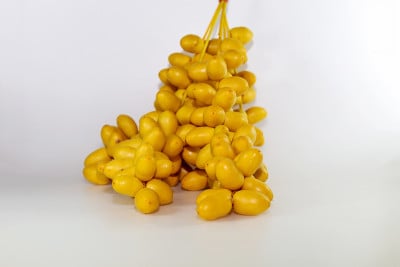 枣椰树