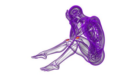 髌骨的3d渲染医学插图