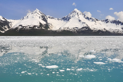 Aialik湾，基奈峡湾国家公园(阿拉斯加)
