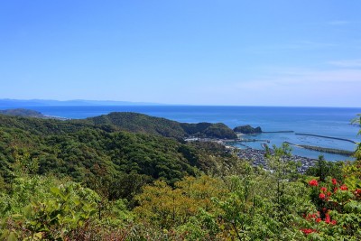 从山道上看，春天(高知县土佐市)