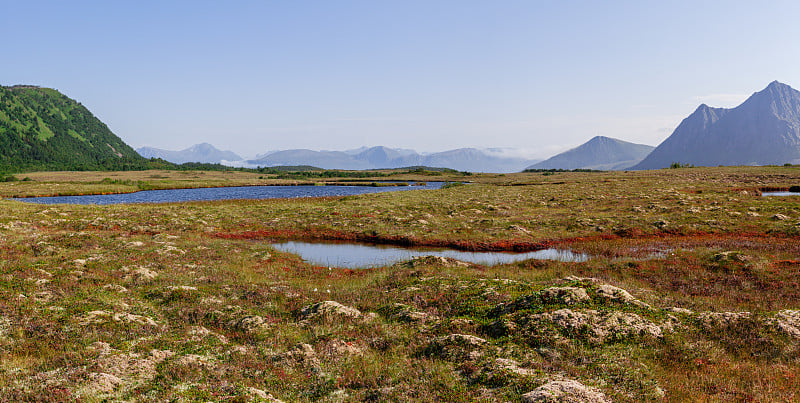 罗浮敦群岛的湖谷里，夏天远处的山脉前面，长满了石南花、苔藓和地衣，是一片橙红色的泥炭沼泽。