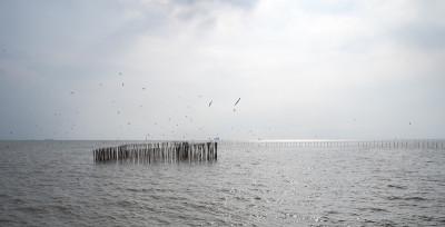 木杆排列在海里