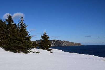 鲸鱼背岩，Torbay NL